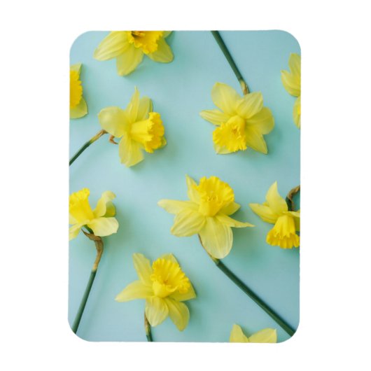 Blumen | Gelbe Daffodien Magnet (Vertikal)