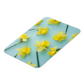 Blumen | Gelbe Daffodien Magnet (Linke Seite)