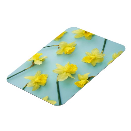 Blumen | Gelbe Daffodien Magnet (Linke Seite)