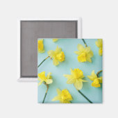 Blumen | Gelbe Daffodien Magnet (Vorderseite/Rückseite)