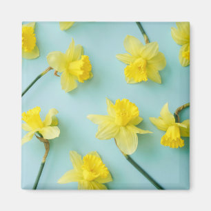 Blumen   Gelbe Daffodien Magnet
