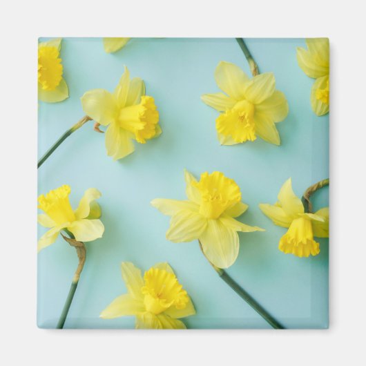 Blumen | Gelbe Daffodien Magnet (Vorne)