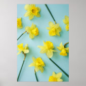 Blumen | Gelbe Daffodien Poster (Vorne)