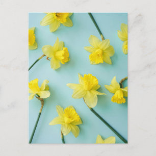 Blumen Gelbe Daffodien Postkarte