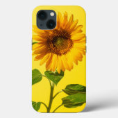 Blumen | Gelbe Sonnenblume Case-Mate iPhone Hülle (Rückseite)