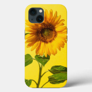 Blumen   Gelbe Sonnenblume Case-Mate iPhone Hülle