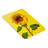 Blumen | Gelbe Sonnenblume Magnet (Rechte Seite)