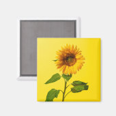 Blumen | Gelbe Sonnenblume Magnet (Vorderseite/Rückseite)