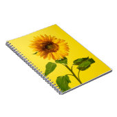 Blumen | Gelbe Sonnenblume Notizblock (Rechte Seite)