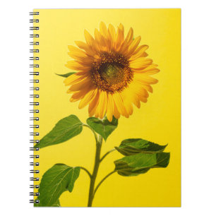 Blumen   Gelbe Sonnenblume Notizblock
