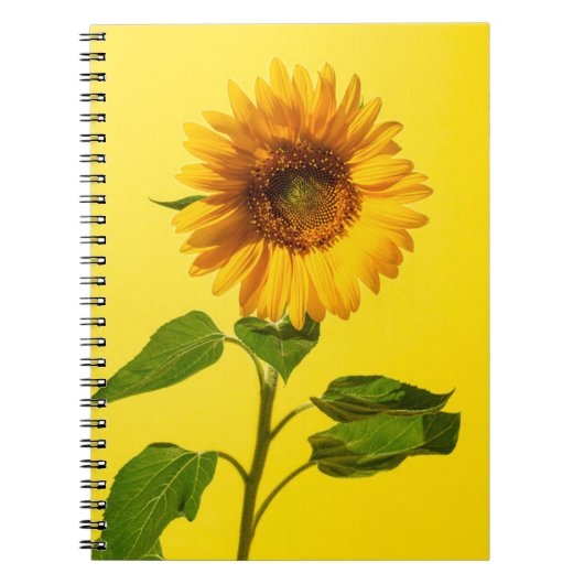 Blumen | Gelbe Sonnenblume Notizblock (Vorderseite)