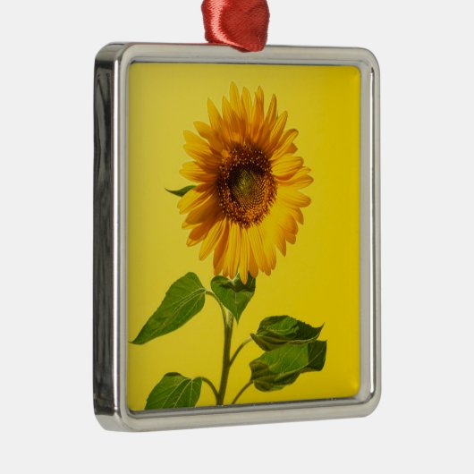 Blumen | Gelbe Sonnenblume Ornament Aus Metall (Rechts)