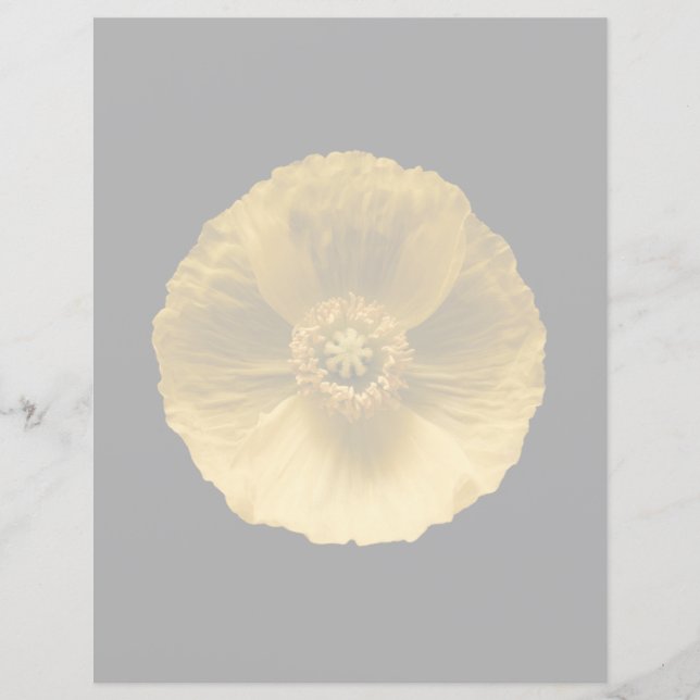 Blumen | Gelber Mohn (Vorderseite)