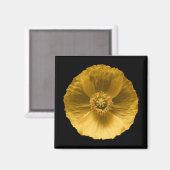 Blumen | Gelber Mohn Magnet (Vorderseite/Rückseite)