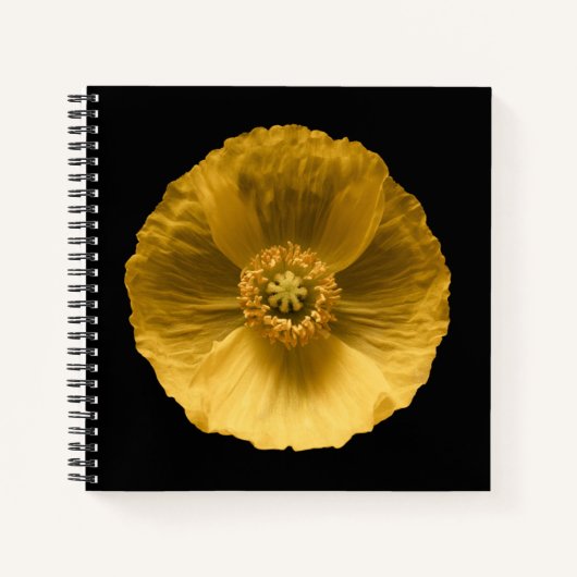 Blumen | Gelber Mohn Notizblock (Vorderseite)