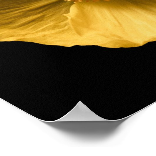 Blumen | Gelber Mohn Poster (Ecke)