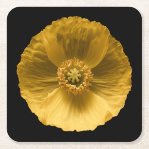 Blumen Gelber Mohn Rechteckiger Pappuntersetzer