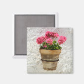 Blumen | Geranium in Blume in Pot Magnet (Vorderseite/Rückseite)