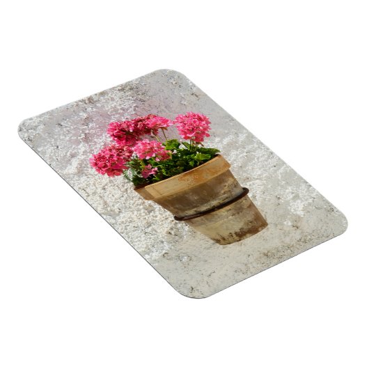 Blumen | Geranium in Blume in Pot Magnet (Rechte Seite)