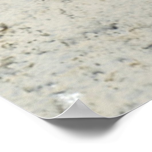 Blumen | Geranium in Blume in Pot Poster (Ecke)