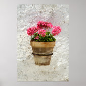 Blumen | Geranium in Blume in Pot Poster (Vorne)