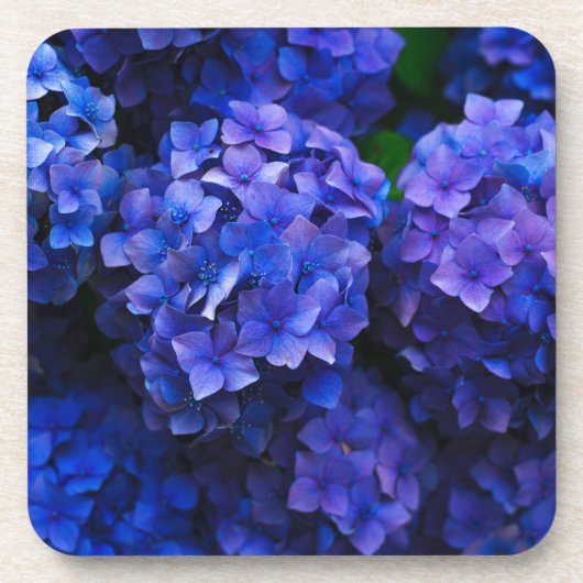 Blumen Getränkeuntersetzer (Vorderseite)