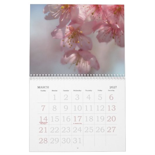 Blumen-Grafik-Kalender Kalender (Mär 2027)