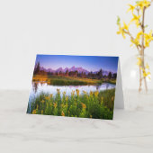 Blumen | Grand Teton National Park, Wyoming Karte (Gelbe Blume)