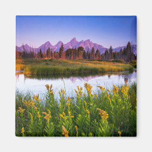 Blumen   Grand Teton National Park, Wyoming Magnet