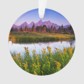 Blumen | Grand Teton National Park, Wyoming Ornament (Vorderseite)