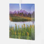 Blumen | Grand Teton National Park, Wyoming Ornament Aus Glas (Vorderseite links)