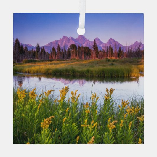 Blumen | Grand Teton National Park, Wyoming Ornament Aus Glas (Rückseite)