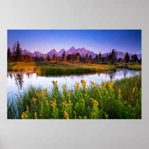Blumen   Grand Teton National Park, Wyoming Poster
