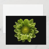 Blumen | Grünes Chrysanthemum Dankeskarte (Vorne/Hinten)