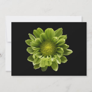Blumen   Grünes Chrysanthemum Dankeskarte
