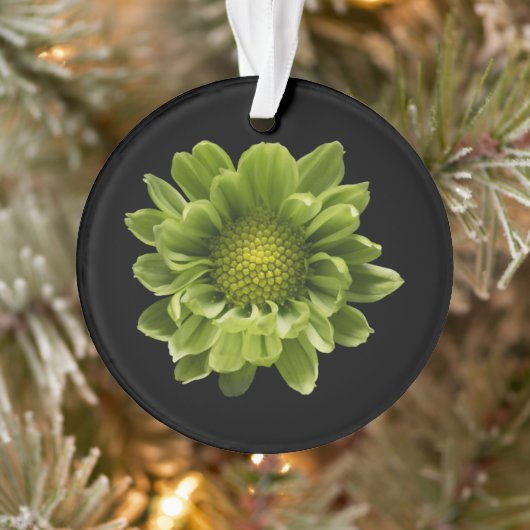 Blumen | Grünes Chrysanthemum Ornament (Baum)