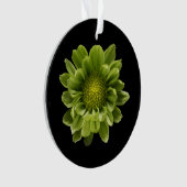 Blumen | Grünes Chrysanthemum Ornament (Vorderseite)