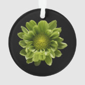 Blumen | Grünes Chrysanthemum Ornament (Rückseite)