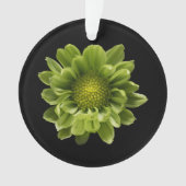 Blumen | Grünes Chrysanthemum Ornament (Vorderseite)
