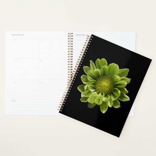 Blumen | Grünes Chrysanthemum Planer (Anzeige)