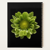 Blumen | Grünes Chrysanthemum Planer (Rückseite)