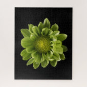 Blumen | Grünes Chrysanthemum Puzzle (Vertikal)