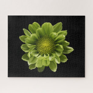 Blumen Grünes Chrysanthemum Puzzle