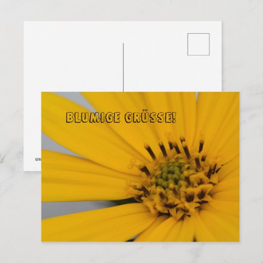 Blumen Gruß Postkarte (Vorne/Hinten)