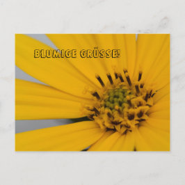 Blumen Gruß Postkarte