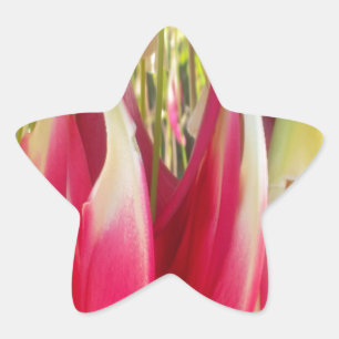Blumen-Herz-Kunstposter Stern-Aufkleber