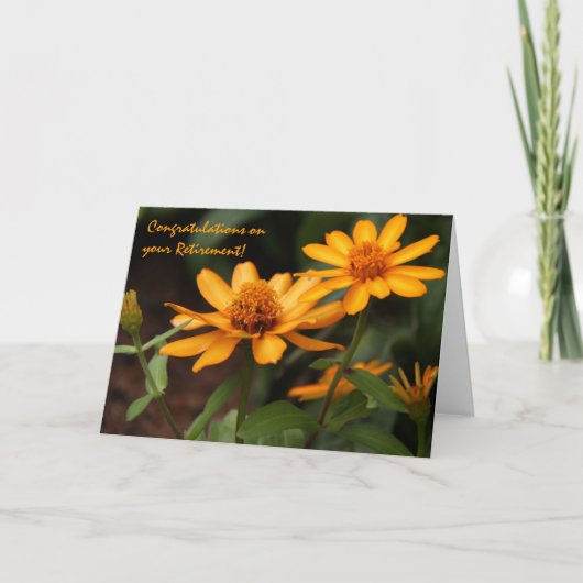 Blumen-, hübsche orange Zinnias, Ruhestands-Karte Karte (Vorderseite)