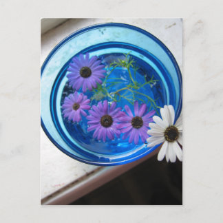 Blumen im blauen Pool Postkarte