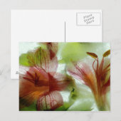Blumen im Eis Postkarte (Vorne/Hinten)