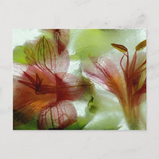 Blumen im Eis Postkarte (Vorderseite)